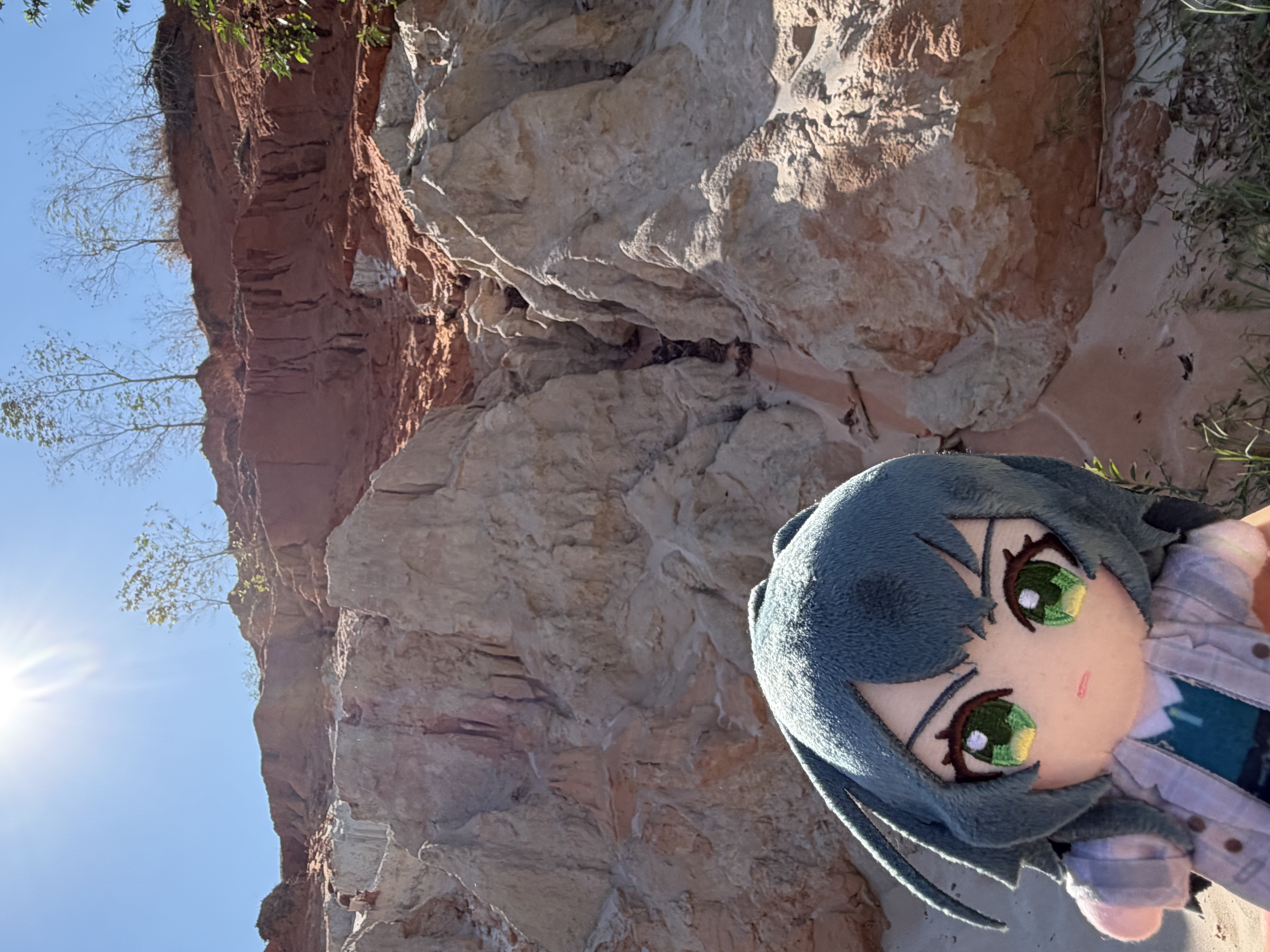 月村手毬